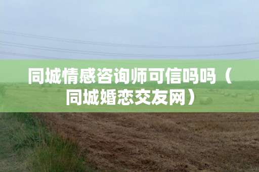 戀愛的進度 從相識到相守的奇妙旅程